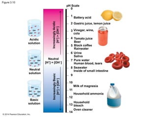 © 2014 Pearson Education, Inc.
Figure 3.10
H+
H+
H+
H+
H+
H+
H+H+
H+OH–
OH–
OH–
OH–
OH–
OH–
OH–
OH–
H+
H+
H+
H+
H+
H+
OH–
OH–
OH–
OH–
OH–
OH–
Basic
solution
Neutral
solution
Acidic
solution
IncreasinglyAcidic
[H+]>[OH−]
Neutral
[H+] = [OH−]
pH Scale
IncreasinglyBasic
[H+]<[OH−]
Battery acid
Gastric juice, lemon juice
Vinegar, wine,
cola
Tomato juice
Beer
Black coffee
Rainwater
Pure water
Human blood, tears
Seawater
Inside of small intestine
Urine
Saliva
Milk of magnesia
Household ammonia
Household
bleach
Oven cleaner
0
1
2
3
4
5
6
7
8
9
10
11
12
13
14
 