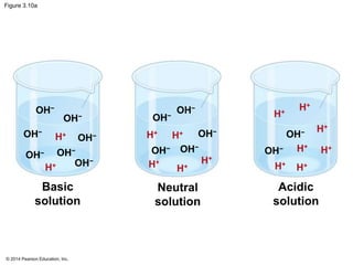 © 2014 Pearson Education, Inc.
Figure 3.10a
H+
H+
H+
H+
H+
H+H+
OH−
OH−
Acidic
solution
OH−
OH−
OH−
OH−
OH−
H+
H+
H+ H+
H+
Neutral
solution
H+
OH−
H+
OH−
OH−
OH−OH−
OH−
OH−
Basic
solution
 