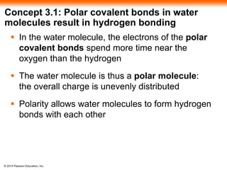© 2014 Pearson Education, Inc.
Concept 3.1: Polar covalent bonds in water
molecules result in hydrogen bonding
 In the water molecule, the electrons of the polar
covalent bonds spend more time near the
oxygen than the hydrogen
 The water molecule is thus a polar molecule:
the overall charge is unevenly distributed
 Polarity allows water molecules to form hydrogen
bonds with each other
 