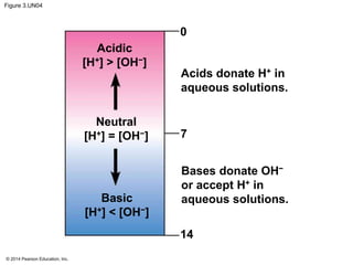 © 2014 Pearson Education, Inc.
Figure 3.UN04
Acidic
[H+] > [OH−]
Neutral
[H+] = [OH−]
Basic
[H+] < [OH−]
Acids donate H+ in
aqueous solutions.
Bases donate OH−
or accept H+ in
aqueous solutions.
0
7
14
 