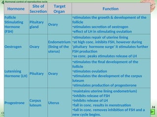 03 LECTURE hormonal control of reproductive cycles 2022.ppt