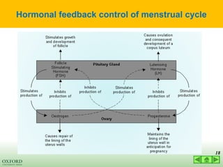 03 LECTURE hormonal control of reproductive cycles 2022.ppt