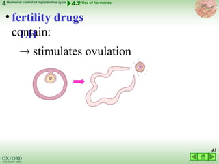 03 LECTURE hormonal control of reproductive cycles 2022.ppt