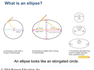 What is an ellipse?
An ellipse looks like an elongated circle.
 