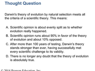 Thought Question
Darwin's theory of evolution by natural selection meets all
the criteria of a scientific theory. This means:
A. Scientific opinion is about evenly split as to whether
evolution really happened.
B. Scientific opinion runs about 90% in favor of the theory
of evolution and about 10% opposed.
C. After more than 100 years of testing, Darwin's theory
stands stronger than ever, having successfully met
every scientific challenge to its validity.
D. There is no longer any doubt that the theory of evolution
is absolutely true.
 