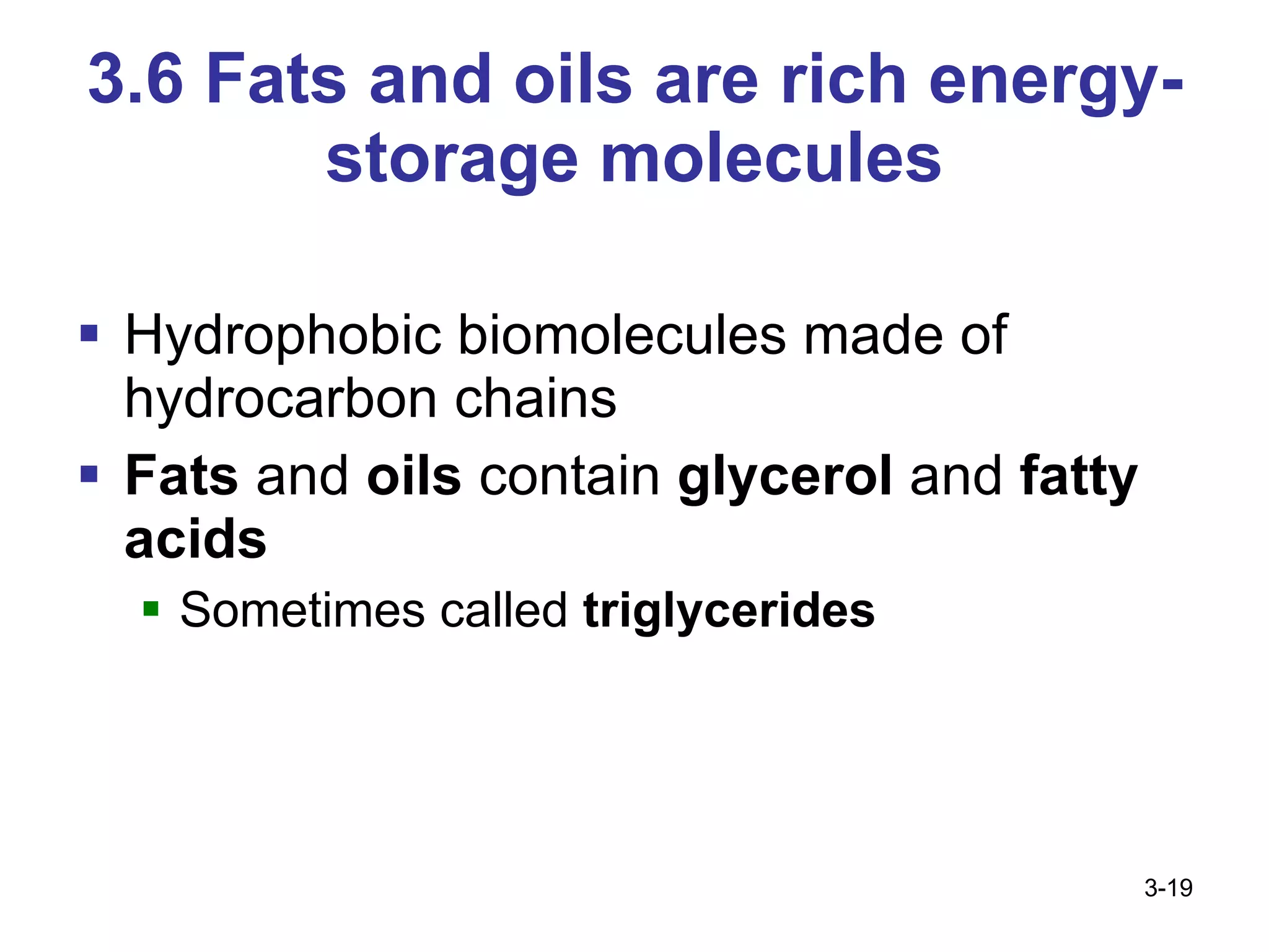 3.6 Fats and oils are rich energy-storage molecules Hydrophobic biomolecules made of hydrocarbon chains Fats  and  oils  contain  glycerol  and  fatty acids Sometimes called  triglycerides 3- 