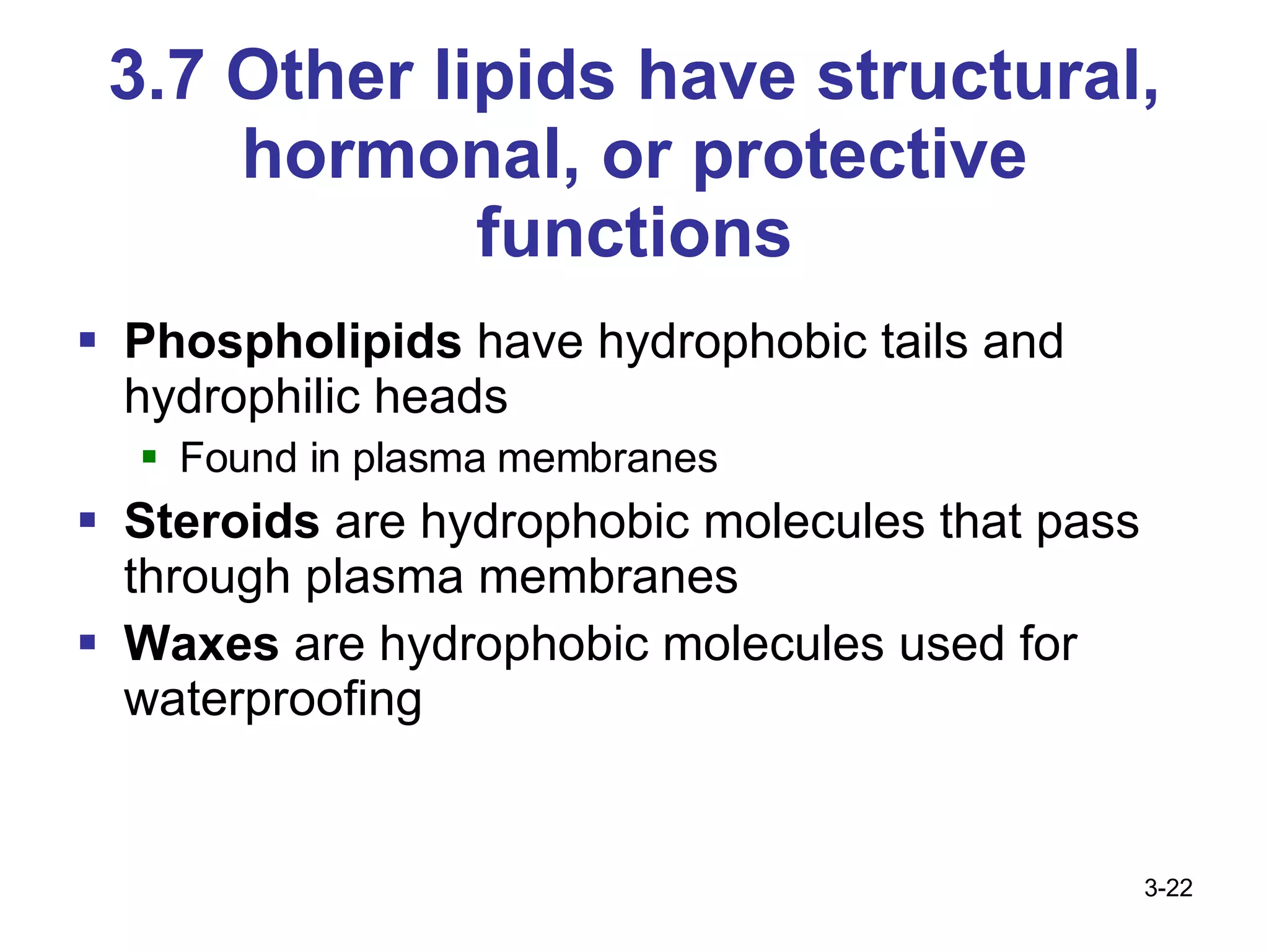 3.7 Other lipids have structural, hormonal, or protective functions Phospholipids  have hydrophobic tails and hydrophilic heads Found in plasma membranes Steroids  are hydrophobic molecules that pass through plasma membranes Waxes  are hydrophobic molecules used for waterproofing 3- 
