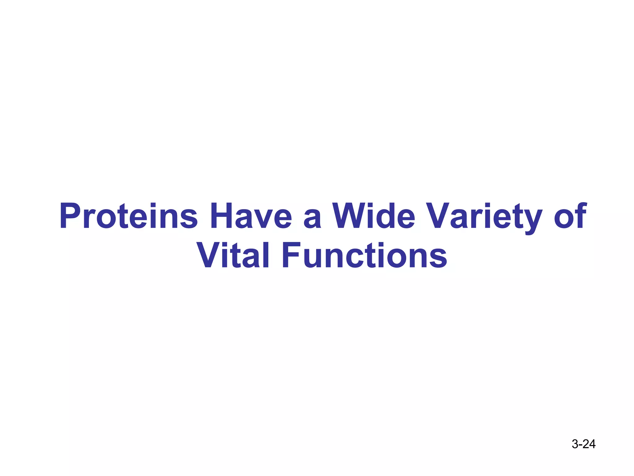 Proteins Have a Wide Variety of Vital Functions 3- 