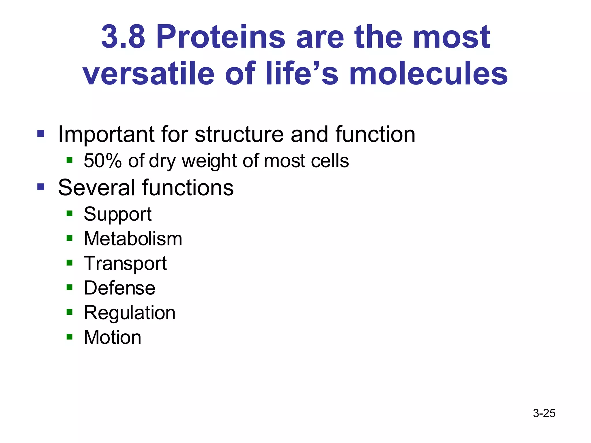 3.8 Proteins are the most versatile of life’s molecules Important for structure and function 50% of dry weight of most cells Several functions Support Metabolism Transport Defense Regulation Motion 3- 