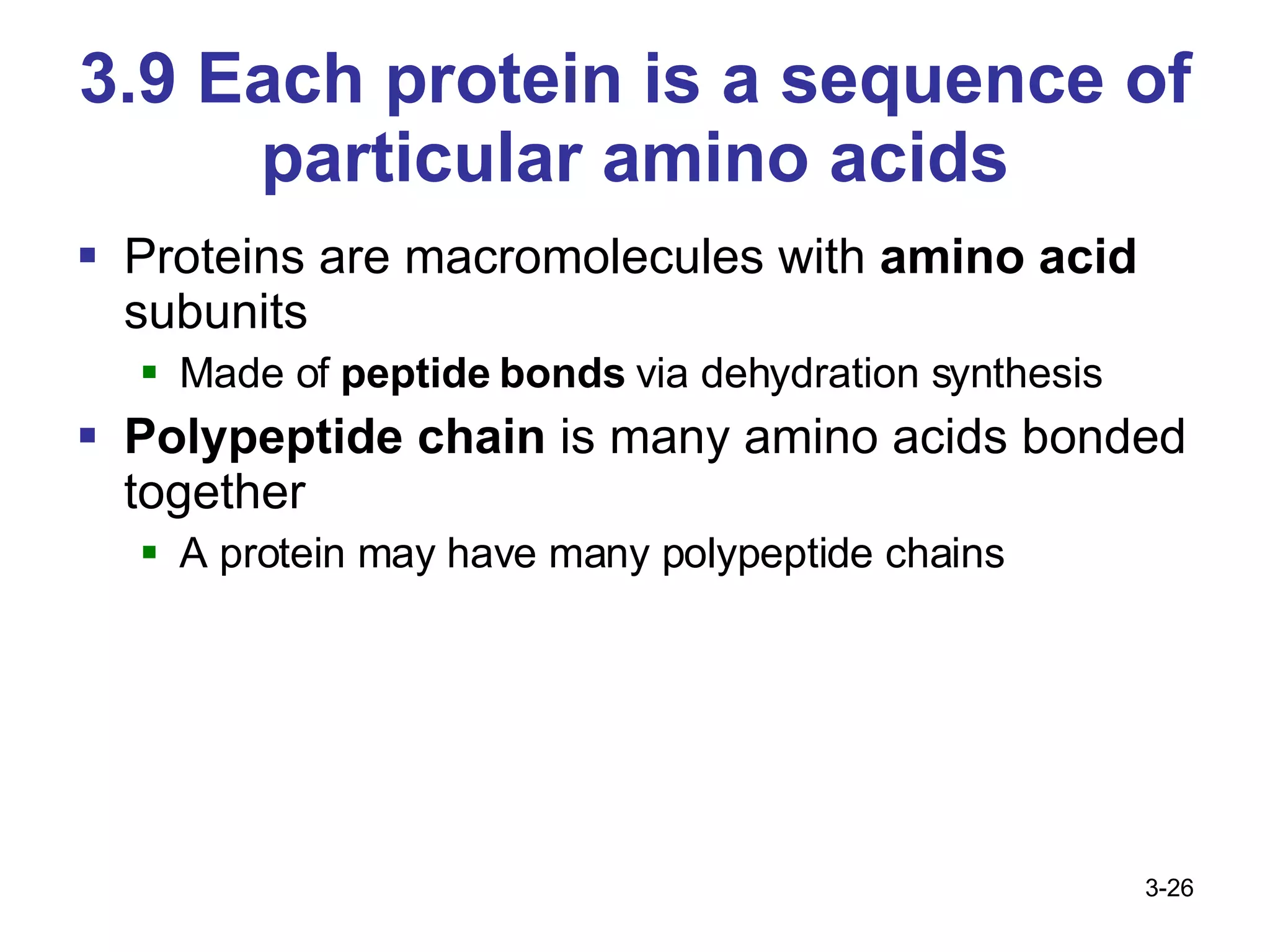 3.9 Each protein is a sequence of particular amino acids Proteins are macromolecules with  amino acid  subunits Made of  peptide bonds  via dehydration synthesis Polypeptide chain  is many amino acids bonded together A protein may have many polypeptide chains 3- 