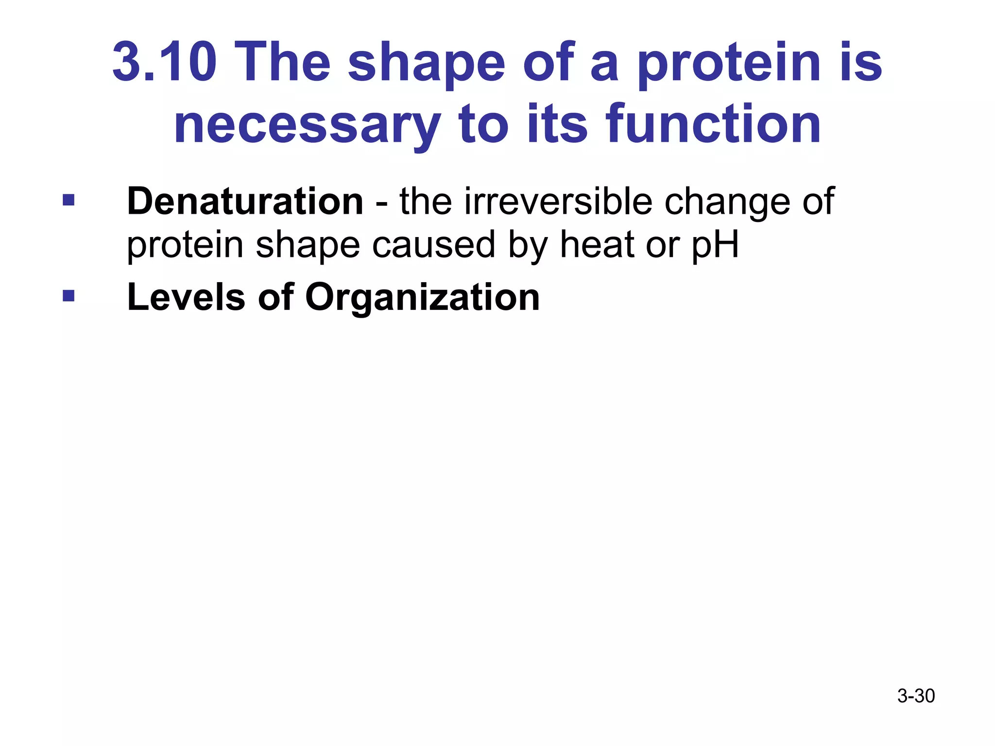 3.10 The shape of a protein is necessary to its function Denaturation  - the irreversible change of protein shape caused by heat or pH Levels of Organization 3- 