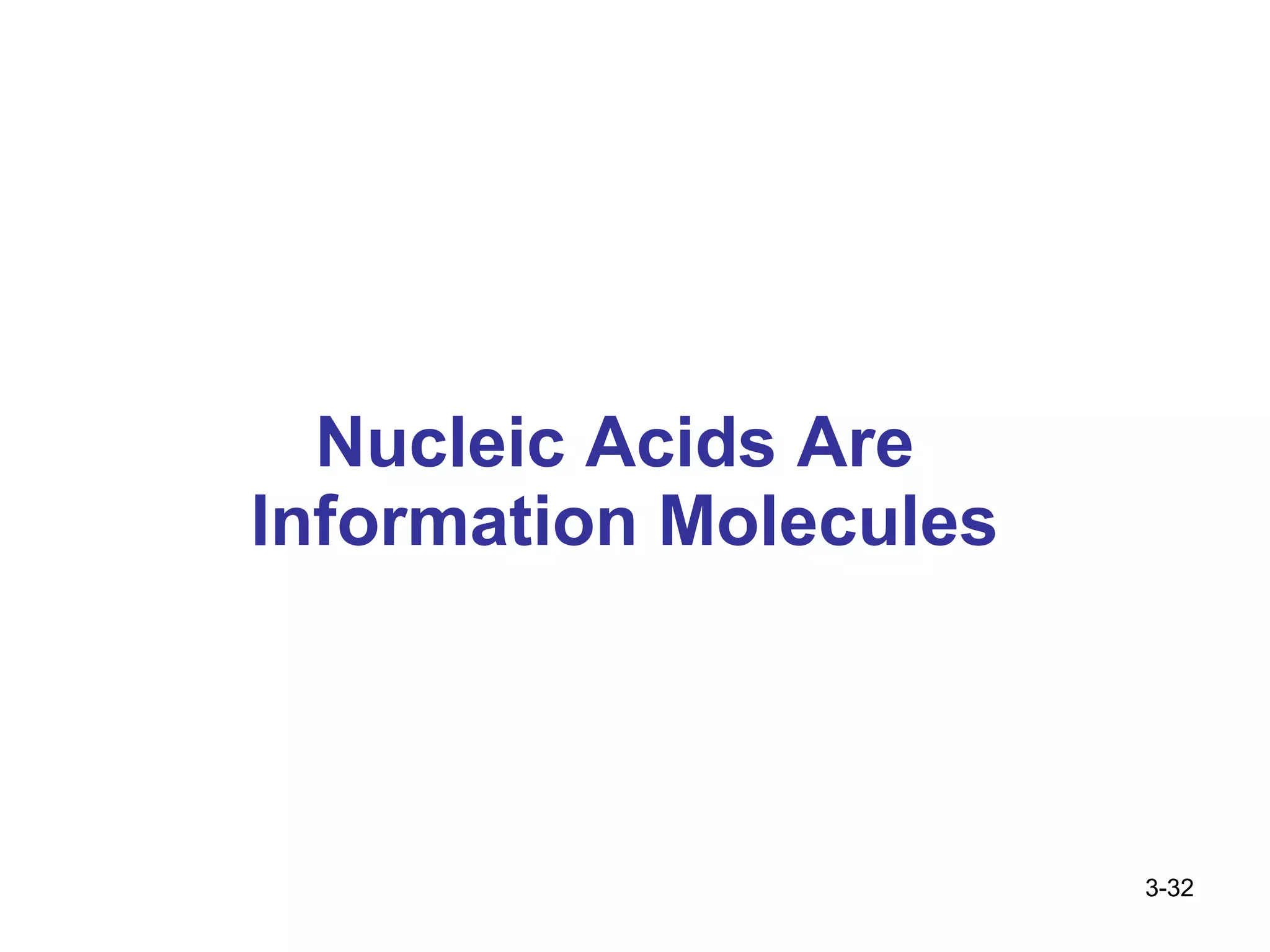 Nucleic Acids Are  Information Molecules 3- 