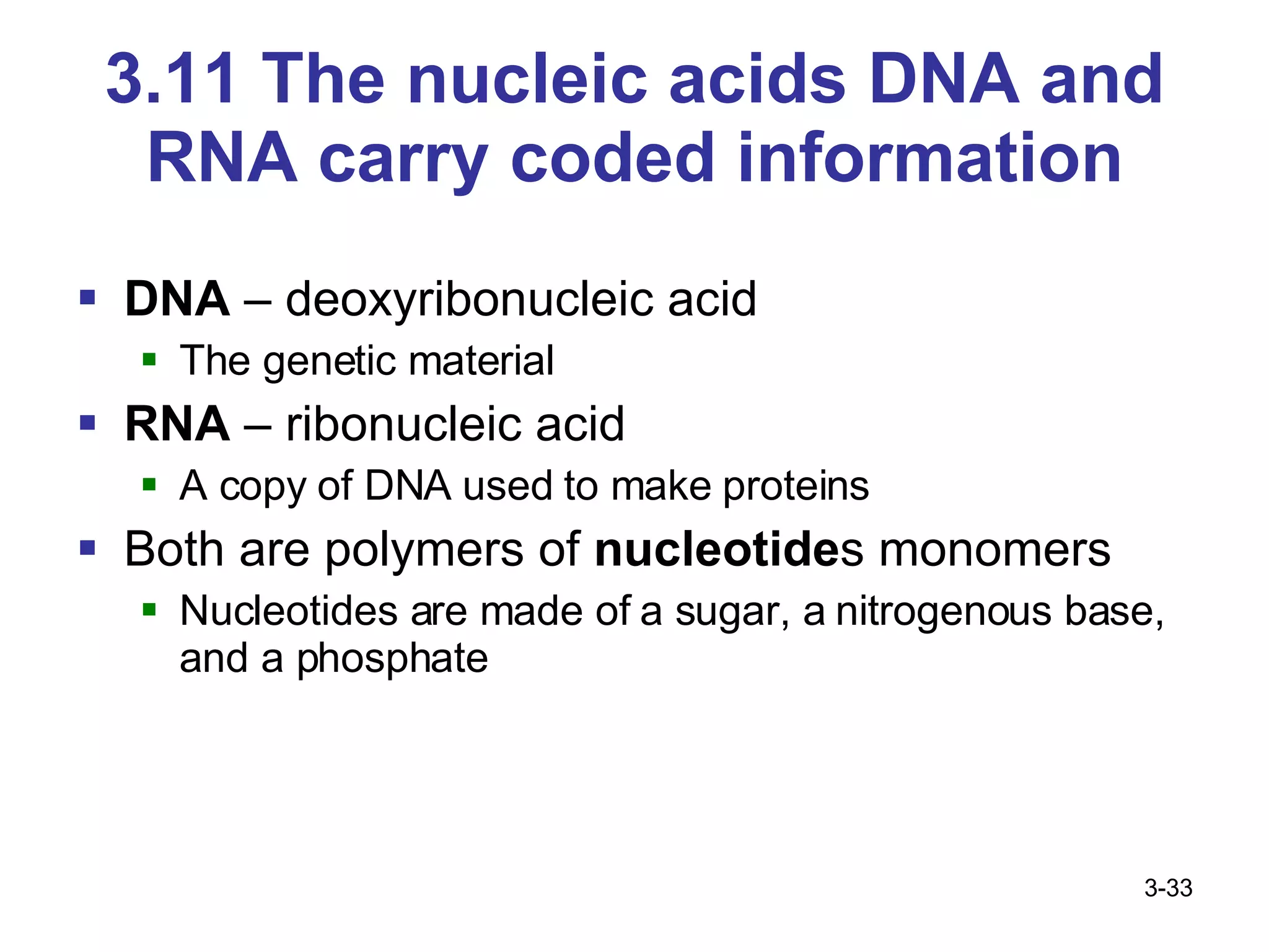 3.11 The nucleic acids DNA and RNA carry coded information DNA  – deoxyribonucleic acid The genetic material RNA  – ribonucleic acid A copy of DNA used to make proteins Both are polymers of  nucleotide s monomers Nucleotides are made of a sugar, a nitrogenous base, and a phosphate 3- 