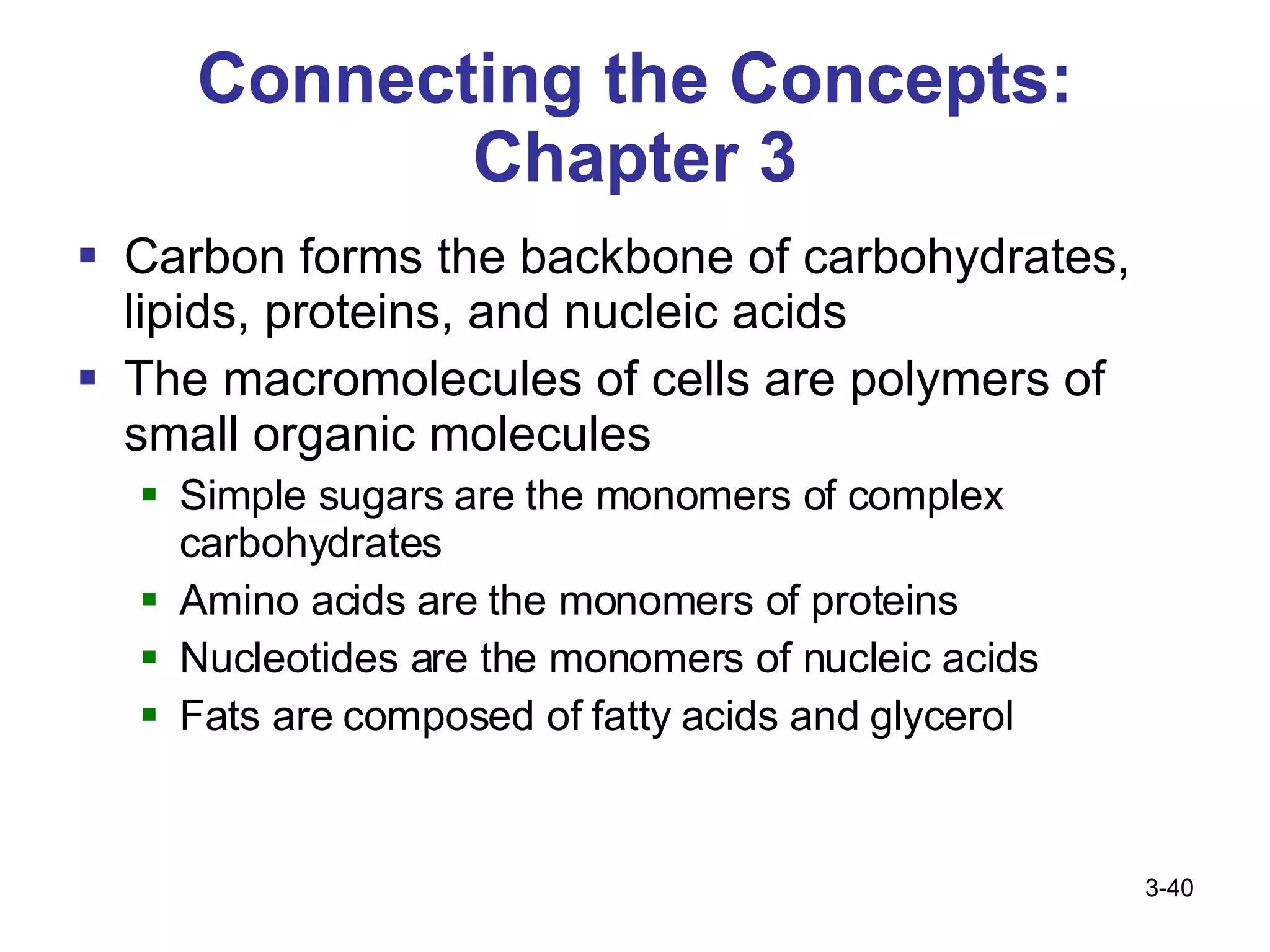 Connecting the Concepts: Chapter 3 Carbon forms the backbone of carbohydrates, lipids, proteins, and nucleic acids The macromolecules of cells are polymers of small organic molecules Simple sugars are the monomers of complex carbohydrates Amino acids are the monomers of proteins Nucleotides are the monomers of nucleic acids Fats are composed of fatty acids and glycerol 3- 