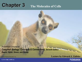 © 2012 Pearson Education, Inc. Lecture by Edward J. Zalisko
PowerPoint Lectures for
Campbell Biology: Concepts & Connections, Seventh Edition
Reece, Taylor, Simon, and Dickey
Chapter 3Chapter 3 The Molecules of Cells
 