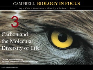 CAMPBELL BIOLOGY IN FOCUS
© 2014 Pearson Education, Inc.
Urry • Cain • Wasserman • Minorsky • Jackson • Reece
Lecture Presentations by
Kathleen Fitzpatrick and Nicole Tunbridge
3
Carbon and
the Molecular
Diversity of Life
 