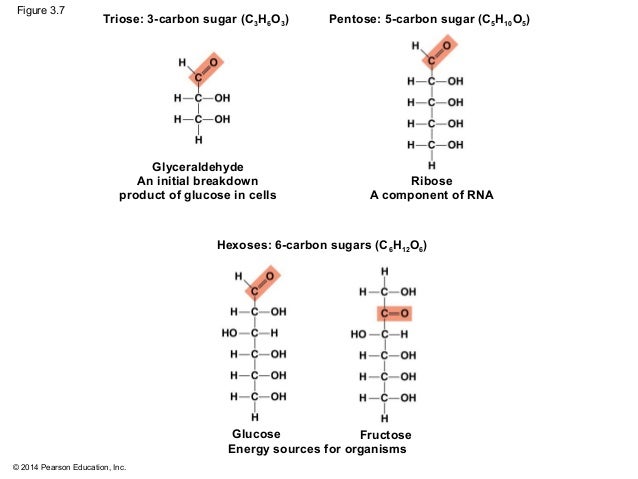 As Shown In Figure U2010carbon Sugar Sedoheptuloseu20107u2010 Phosp And The 3u2010carbon As Shown In Figure U2010carbon Sugar Sedoheptuloseu20107u2010 Phosp And The 3u2010carbon