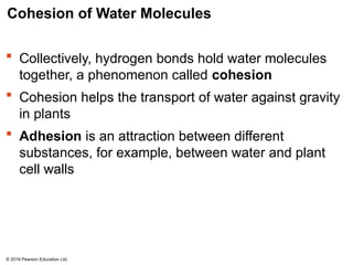 Comprehensive Lecture on The Chemistry and Properties of Water | PPTX