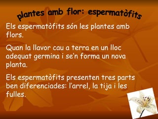 plantes amb flor: espermatòfits Els espermatòfits són les plantes amb flors. Quan la llavor cau a terra en un lloc adequat germina i se’n forma un nova planta.  Els espermatòfits presenten tres parts ben diferenciades: l’arrel, la tija i les fulles. 