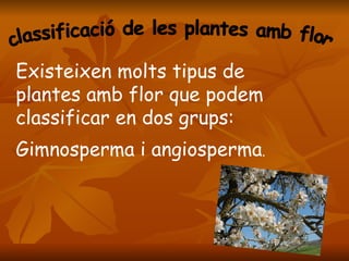 classificació de les plantes amb flor Existeixen molts tipus de plantes amb flor que podem classificar en dos grups: Gimnosperma i angiosperma . 