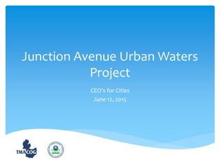Junction Avenue Urban Waters
Project
CEO’s for Cities
June 12, 2015
 