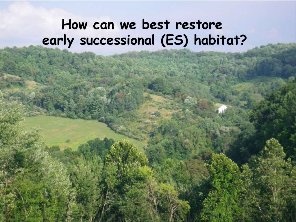 LandscapeScale Thresholds Of Early Successional Habitat Reconciling…
