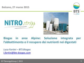 © TSenergyGroup | 2015 1
Bolzano, 27 marzo 2015
Biogas in aree Alpine: Soluzione integrata per
l’abbattimento o il recupero dei nutrienti nei digestati
Luca Fortini – BTS Biogas
l.fortini@bts-biogas.com
 