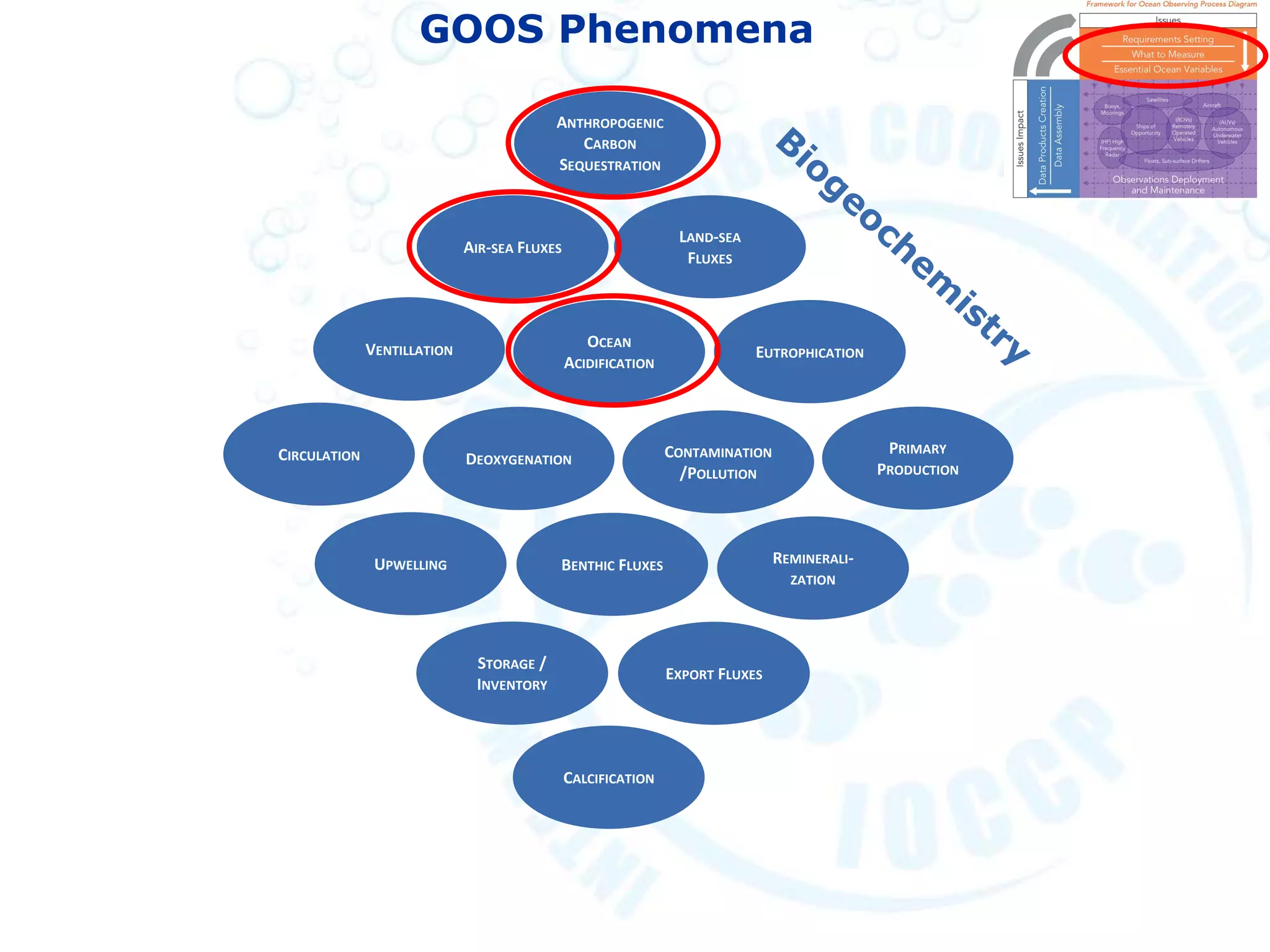 GOOS Phenomena
AIR-SEA FLUXES
ANTHROPOGENIC
CARBON
SEQUESTRATION
UPWELLING
VENTILLATION
CONTAMINATION
/POLLUTION
OCEAN
ACIDIFICATION
DEOXYGENATION
EXPORT FLUXES
EUTROPHICATION
STORAGE /
INVENTORY
CIRCULATION
LAND-SEA
FLUXES
BENTHIC FLUXES
PRIMARY
PRODUCTION
REMINERALI-
ZATION
CALCIFICATION
 