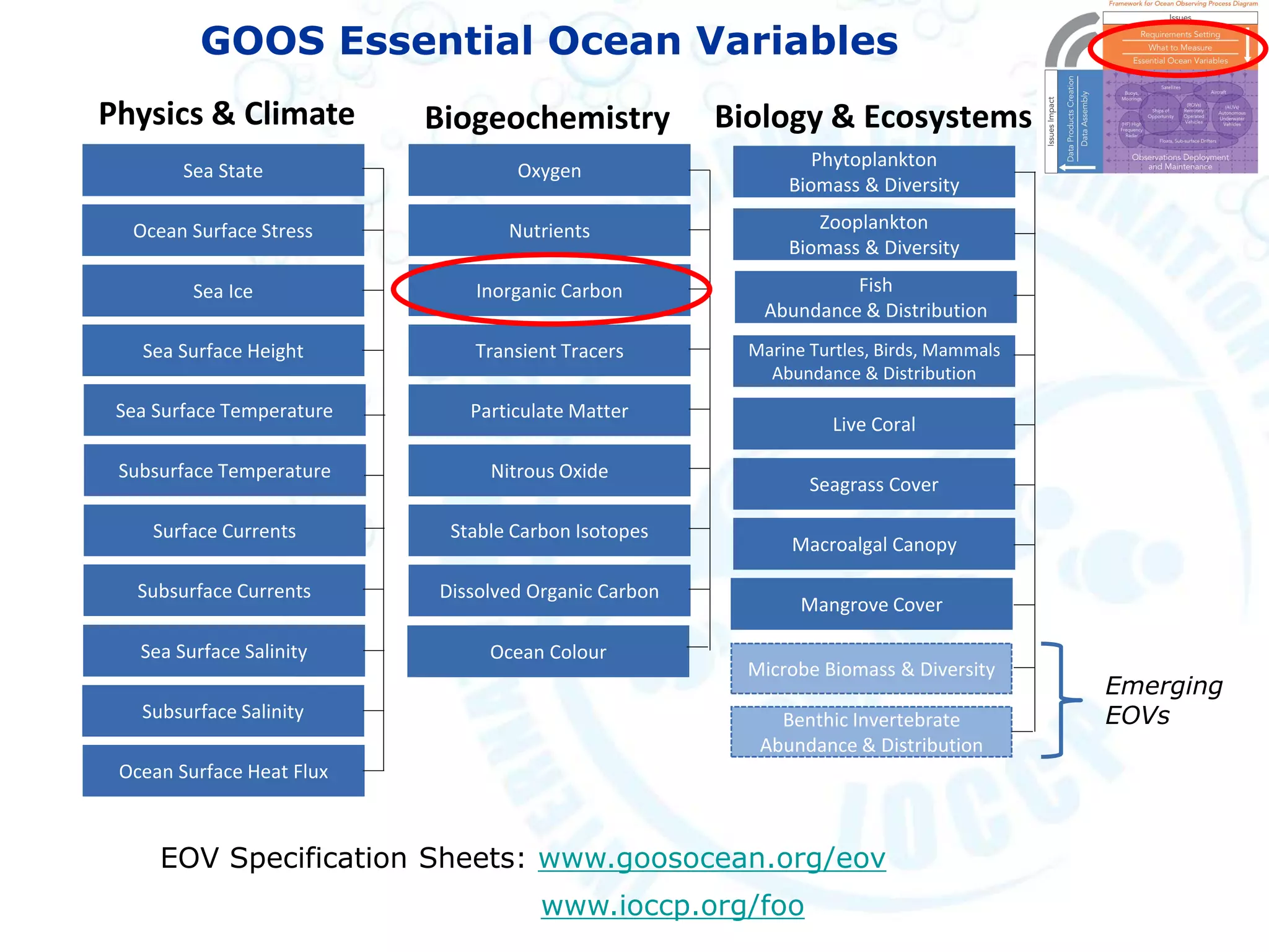 GOOS Essential Ocean Variables
EOV Specification Sheets: www.goosocean.org/eov
www.ioccp.org/foo
Physics & Climate
Oxygen
Nutrients
Particulate Matter
Inorganic Carbon
Transient Tracers
Nitrous Oxide
Stable Carbon Isotopes
Dissolved Organic Carbon
Biogeochemistry
Phytoplankton
Biomass & Diversity
Zooplankton
Biomass & Diversity
Fish
Abundance & Distribution
Biology & Ecosystems
Marine Turtles, Birds, Mammals
Abundance & Distribution
Live Coral
Seagrass Cover
Macroalgal Canopy
Mangrove Cover
Sea Surface Temperature
Ocean Surface Stress
Subsurface Currents
Surface Currents
Subsurface Temperature
Sea State
Ocean Surface Heat Flux
Sea Surface Height
Sea Ice
Sea Surface Salinity
Subsurface Salinity
Ocean Colour
Microbe Biomass & Diversity
Benthic Invertebrate
Abundance & Distribution
Emerging
EOVs
 