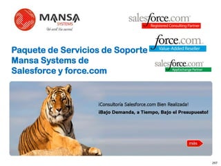 Paquete de Servicios de SoporteMansa Systems deSalesforce y force.com 297 