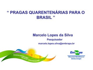 “ PRAGAS QUARENTENÁRIAS PARA O 
BRASIL ” 
Marcelo Lopes da Silva 
Pesquisador 
marcelo.lopes.silva@embrapa.br 
 