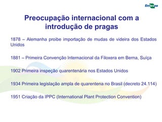 Preocupação internacional com a 
introdução de pragas 
1878 – Alemanha proibe importação de mudas de videira dos Estados 
Unidos 
1881 – Primeira Convenção Internacional da Filoxera em Berna, Suíça 
1902 Primeira inspeção quarentenária nos Estados Unidos 
1934 Primeira legislação ampla de quarentena no Brasil (decreto 24.114) 
1951 Criação da IPPC (International Plant Protection Convention) 
 