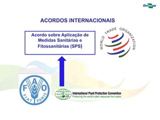 ACORDOS INTERNACIONAIS 
Acordo sobre Aplicação de 
Medidas Sanitárias e 
Fitossanitárias (SPS) 
 