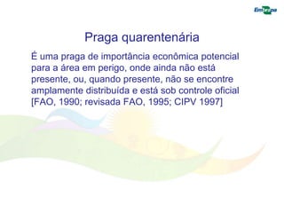 Praga quarentenária 
É uma praga de importância econômica potencial 
para a área em perigo, onde ainda não está 
presente, ou, quando presente, não se encontre 
amplamente distribuída e está sob controle oficial 
[FAO, 1990; revisada FAO, 1995; CIPV 1997] 
 