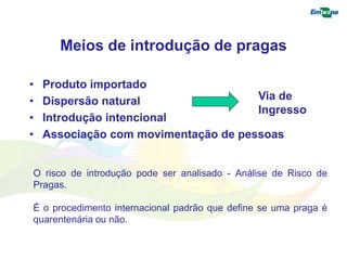 Meios de introdução de pragas 
• Produto importado 
• Dispersão natural 
• Introdução intencional 
• Associação com movimentação de pessoas 
Via de 
Ingresso 
O risco de introdução pode ser analisado - Análise de Risco de 
Pragas. 
É o procedimento internacional padrão que define se uma praga é 
quarentenária ou não. 
 