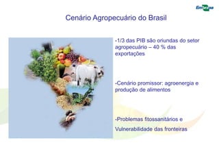Cenário Agropecuário do Brasil 
-1/3 das PIB são oriundas do setor 
agropecuário – 40 % das 
exportações 
-Cenário promissor: agroenergia e 
produção de alimentos 
-Problemas fitossanitários e 
Vulnerabilidade das fronteiras 
 