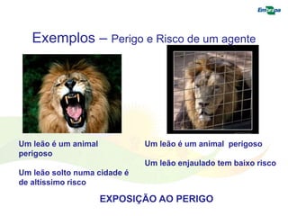 Exemplos – Perigo e Risco de um agente 
Um leão é um animal 
perigoso 
Um leão solto numa cidade é 
de altíssimo risco 
Um leão é um animal perigoso 
Um leão enjaulado tem baixo risco 
EXPOSIÇÃO AO PERIGO 
 