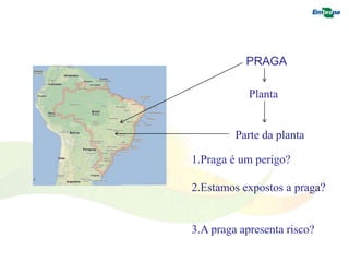 PRAGA 
Planta 
Parte da planta 
1.Praga é um perigo? 
2.Estamos expostos a praga? 
3.A praga apresenta risco? 
 