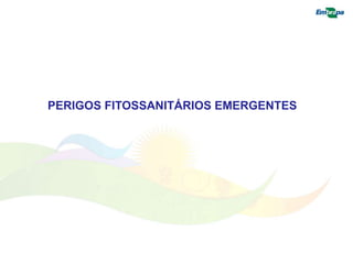 PERIGOS FITOSSANITÁRIOS EMERGENTES 
 