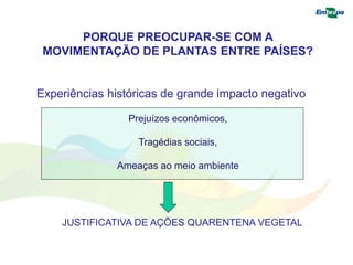 PORQUE PREOCUPAR-SE COM A 
MOVIMENTAÇÃO DE PLANTAS ENTRE PAÍSES? 
Experiências históricas de grande impacto negativo 
Prejuízos econômicos, 
Tragédias sociais, 
Ameaças ao meio ambiente 
JUSTIFICATIVA DE AÇÕES QUARENTENA VEGETAL 
 