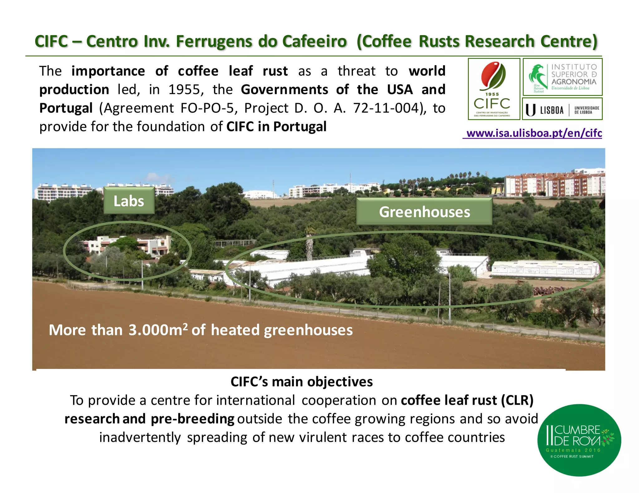03 maria do céu machado lavado da silva | PPT