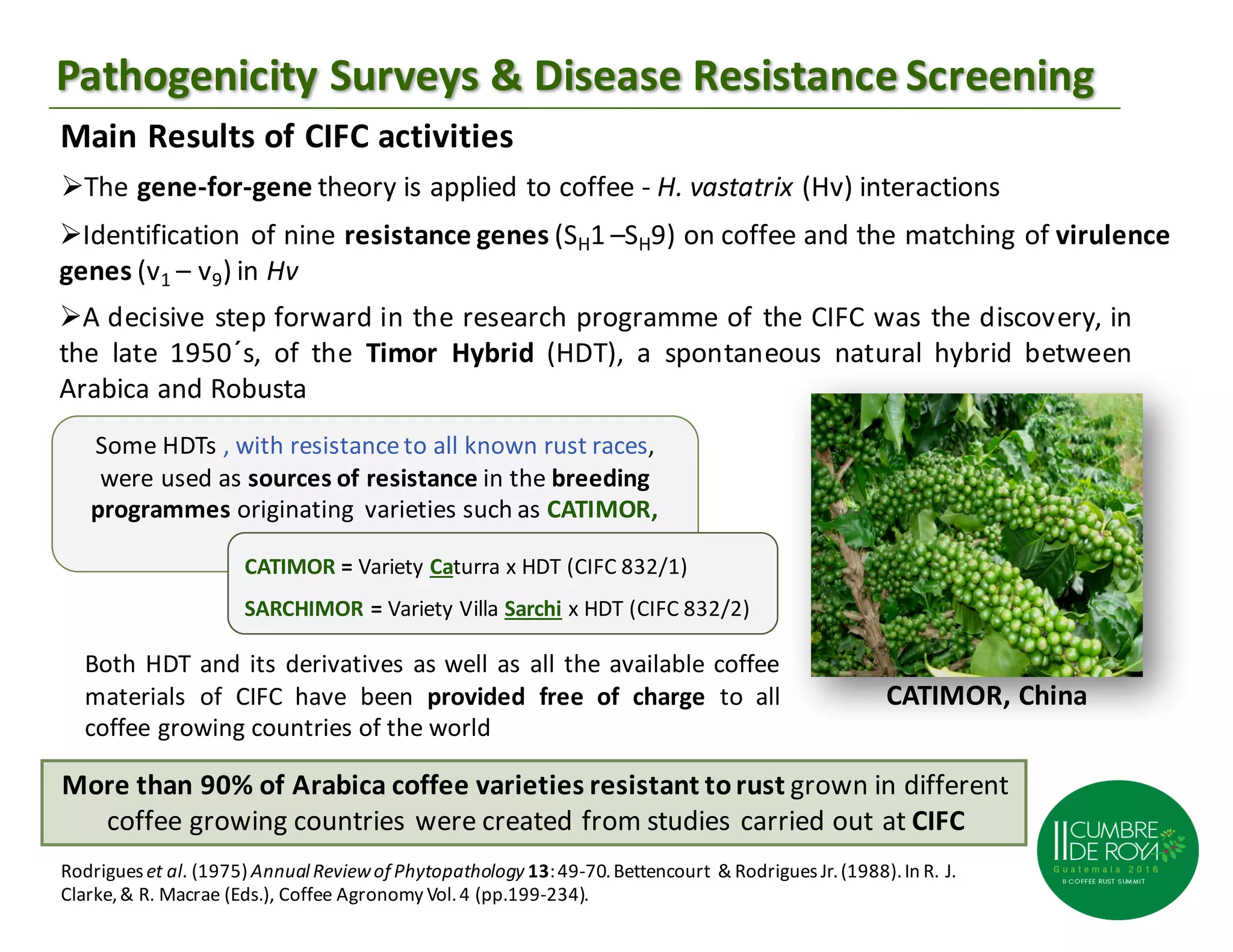 03 maria do céu machado lavado da silva | PPT