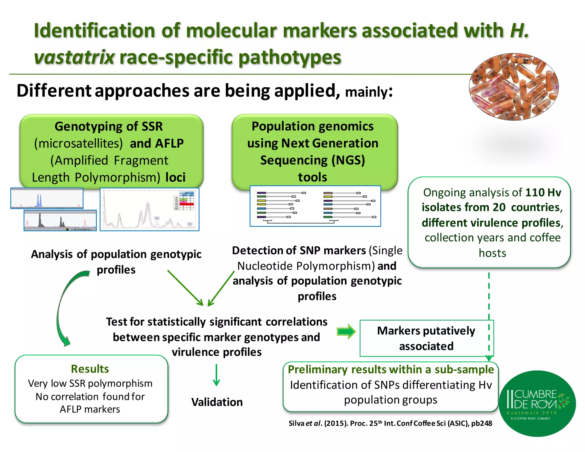 03 maria do céu machado lavado da silva | PPT
