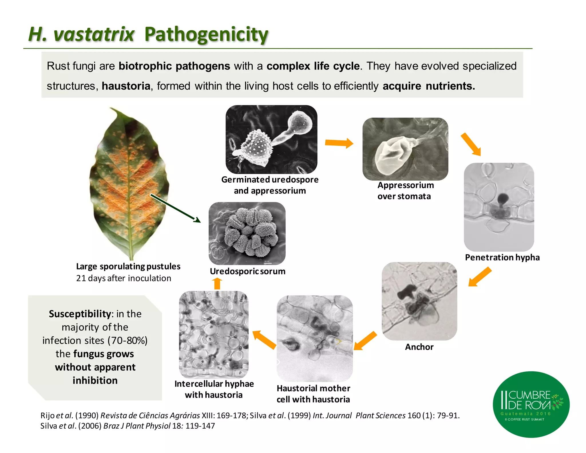 03 maria do céu machado lavado da silva | PPT