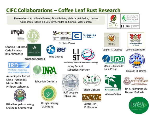 03 maria do céu machado lavado da silva | PPT