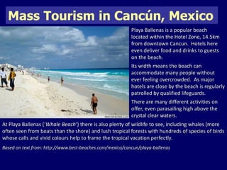 Mass Tourism in Cancún, Mexico 
Playa Ballenas is a popular beach 
located within the Hotel Zone, 14.5km 
from downtown Cancun. Hotels here 
even deliver food and drinks to guests 
on the beach. 
Its width means the beach can 
accommodate many people without 
ever feeling overcrowded. As major 
hotels are close by the beach is regularly 
patrolled by qualified lifeguards. 
There are many different activities on 
offer, even parasailing high above the 
crystal clear waters. 
At Playa Ballenas (‘Whale Beach’) there is also plenty of wildlife to see, including whales (more 
often seen from boats than the shore) and lush tropical forests with hundreds of species of birds 
whose calls and vivid colours help to frame the tropical vacation perfectly. 
Based on text from: http://www.best-beaches.com/mexico/cancun/playa-ballenas 
 