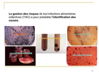 63
La gestion des risques de toxi-infections alimentaires
collectives (TIAC) a pour préalable l’identification des
causes,
 