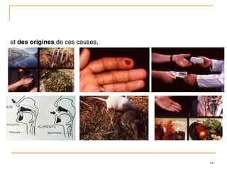 64
et des origines de ces causes,
 