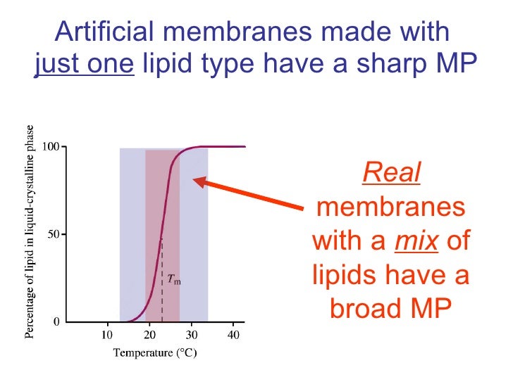 03 Membrane Fluidity