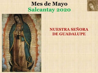 Mes de Mayo
Salcantay 2020
NUESTRA SEÑORA
DE GUADALUPE
 